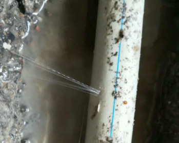 顺义卫生间测漏水多少钱